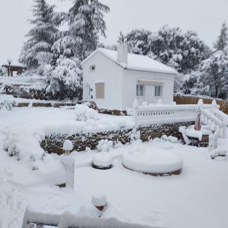 Lovely Home Nearby Madrid To Enjoy Nature Villaviciosa de Odón Exteriör bild