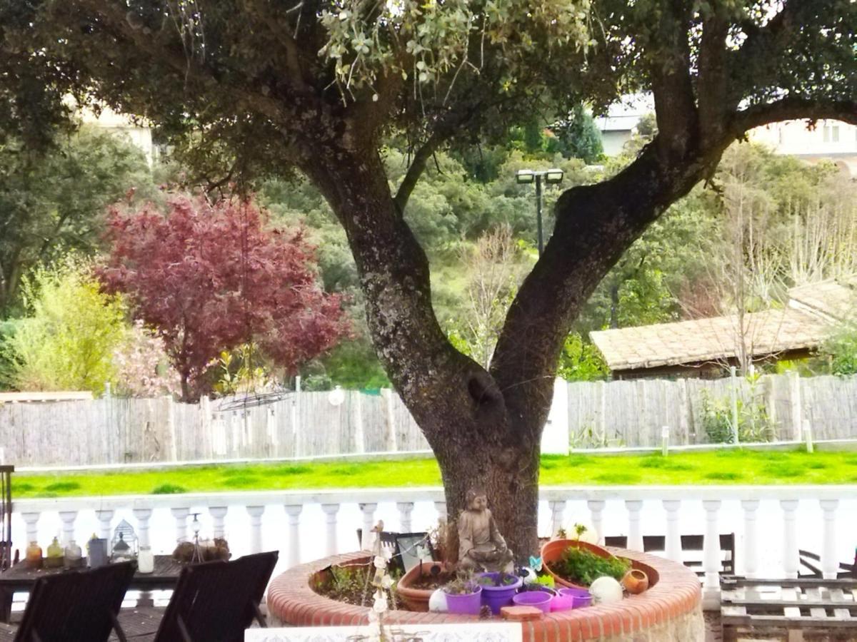 Lovely Home Nearby Madrid To Enjoy Nature Villaviciosa de Odón Exteriör bild